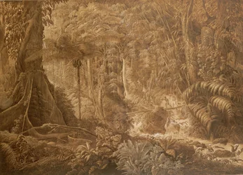 Urwald von Brasilien, ca. 1819